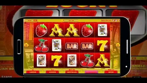 bingo ao vivo cassino 