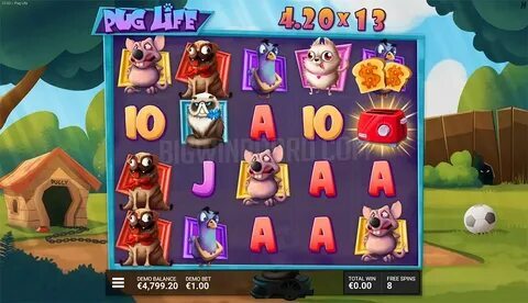 jogo do bicho das 4 horas 