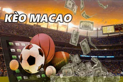 kto bbb 