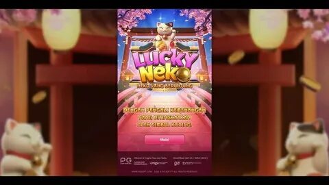 plataforma nova pagando fortune rabbit 